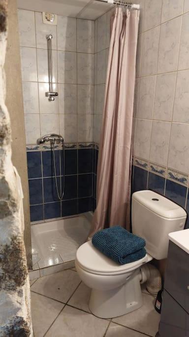 Maisonnette Chaleureuse De 35M2 Miremont  المظهر الخارجي الصورة